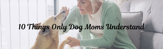 10 Things Only Dog Moms Understand (And Why They’re Proud of It)